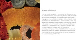 En el ejercicio de fotografiar a contraluz, se han descubierto nue-
vas texturas interiores, nuevos matices y formas. Se ha observado
las diferentes cualidades de los cortes laminares de las frutas. A
mayor grosor, menos luz atraviesa la piel. Es común a esta escala
encontrarse con diminutas celdas y poros circulares, tramas muy
pequeñas de unidades modulares que se manifiestan al igual que
en la naranja pero a una escala mucho más pequeña. Entonces
aparece una nueva dimensión de la materia y cómo esta se es-
tructura, creada por unidades cada vez más básicas.
También puedo reparar en la cualidad del color, en relación a la
observación anterior, de que este también está compuesto por
una infinidad de tramas más pequeñas que se van yuxtaponien-
do, superponiendo y combinando.
La riqueza de las texturas
 