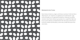 Esta trama en blanco y negro comienza a construir lo formal de la
observación con respecto a la apetencia en la formación rugo-
sa de la frutilla y en su geometría dinámica. Entonces se quiere
construír esta trama natural que posee en su superficie. Ejercicio
en el cual se abstrae completamente del color para centrarse en
la forma modular del bocado y cómo esta unidad discreta arma
una trama.
Modulación de la Trama
 