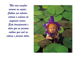 Não viva emoções
  mornas ou vazias.
 Cultive seu interior,
  extraia o máximo de
    pequenas coisas.
  Seja transparente e
  deixe que as pessoas
   saibam que você as
estima e precisa delas.
 