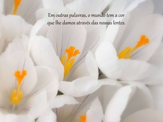 Em outras palavras, o mundo tem a cor 
que lhe damos através das nossas lentes. 
 