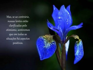 . 
Mas, se ao contrário, 
nossas lentes estão 
clarificadas pelo 
otimismo, sentiremos 
que em todas as 
situações há aspectos 
positivos. 
 