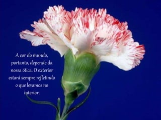 A cor do mundo, 
portanto, depende da 
nossa ótica. O exterior 
estará sempre refletindo 
o que levamos no 
interior. 
 