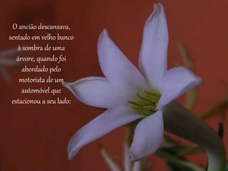 O ancião descansava, 
sentado em velho banco 
à sombra de uma 
árvore, quando foi 
abordado pelo 
motorista de um 
automóvel que 
estacionou a seu lado: 
 