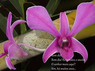Bom dia! 
Bom dia! Respondeu o ancião. 
O senhor mora aqui? 
Sim, há muitos anos... 
 