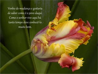 Venho de mudança e gostaria 
de saber como é o povo daqui. 
Como o senhor vive aqui há 
tanto tempo deve conhecê-lo 
muito bem. 
 