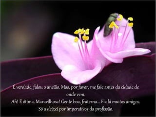 É verdade, falou o ancião. Mas, por favor, me fale antes da cidade de 
onde vem. 
Ah! É ótima. Maravilhosa! Gente boa, fraterna... Fiz lá muitos amigos. 
Só a deixei por imperativos da profissão. 
 