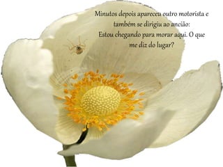 Minutos depois apareceu outro motorista e 
também se dirigiu ao ancião: 
Estou chegando para morar aqui. O que 
me diz do lugar? 
 