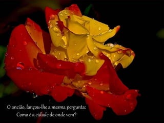 O ancião, lançou-lhe a mesma pergunta: 
Como é a cidade de onde vem? 
 