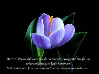 Horrível! Povo orgulhoso, cheio de preconceitos, arrogante! Não fiz um 
único amigo naquele lugar horroroso! 
Sinto muito, meu filho, pois aqui você encontrará o mesmo ambiente... 
 