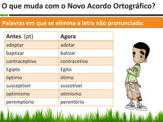 O que muda com o Novo Acordo Ortográfico?

Palavras em que se elimina a letra não pronunciada:

 Antes (pt)         Agora
 adoptar            adotar
 baptizar           batizar
 contraceptivo      contracetivo
 Egipto             Egito
 óptimo             ótimo
 susceptível        suscetível
 optimismo          otimismo
 peremptório        perentório
 