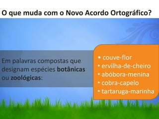 O que muda com o Novo Acordo Ortográfico?




Em palavras compostas que     • couve-flor
designam espécies botânicas   • ervilha-de-cheiro
ou zoológicas:                • abóbora-menina
                              • cobra-capelo
                              • tartaruga-marinha
 