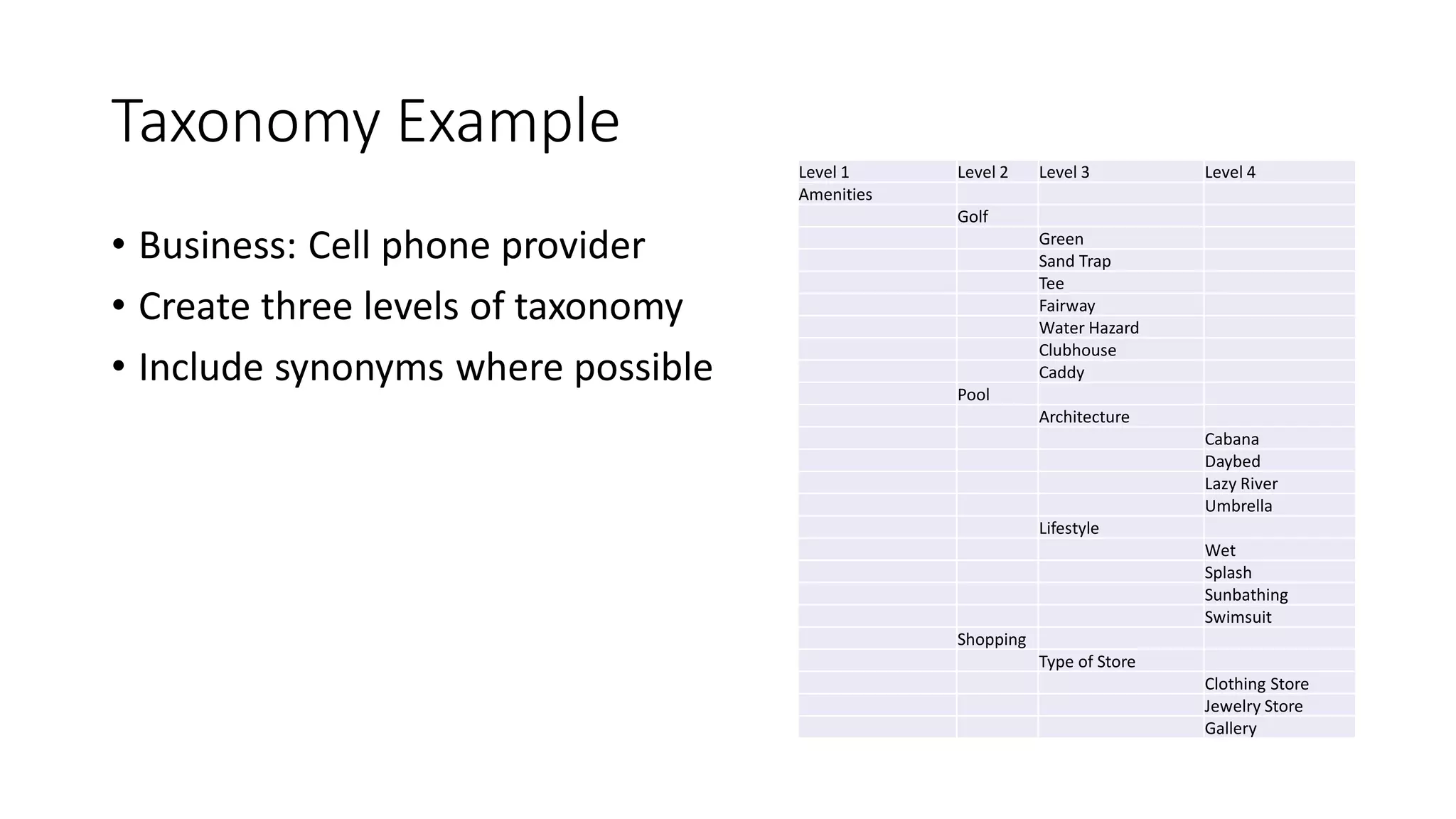 Taxonomy Example
• Business: Cell phone provider
• Create three levels of taxonomy
• Include synonyms where possible
Level 1 Level 2 Level 3 Level 4
Amenities
Golf
Green
Sand Trap
Tee
Fairway
Water Hazard
Clubhouse
Caddy
Pool
Architecture
Cabana
Daybed
Lazy River
Umbrella
Lifestyle
Wet
Splash
Sunbathing
Swimsuit
Shopping
Type of Store
Clothing Store
Jewelry Store
Gallery
 
