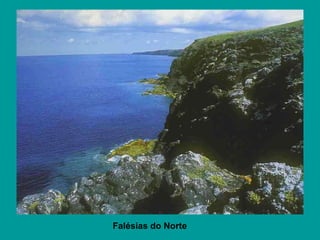 Falésias do Norte 