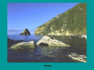 Ponta 