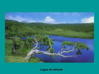 Lagoa de altitude 