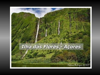 Ilha das Flores - Açores 