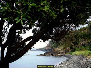 Baía de canas  -  Prainha. 