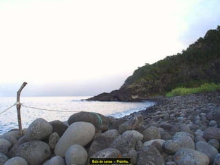Baía de canas  -  Prainha.  