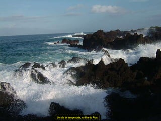 Um dia de tempestade, na Ilha do Pico. 