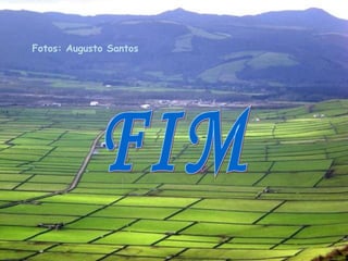 FIM Fotos: Augusto Santos 