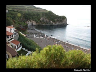 Porto Formoso Praia dos Moinhos Plantações de Chá 