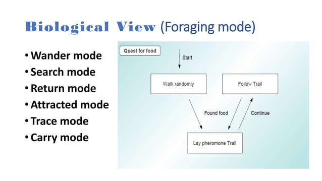 Ant Colony Optimization (ACO) | PPTX | Programming Languages | Computing
