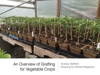 An Overview of Grafting
for Vegetable Crops
Andrew Meﬀerd

Growing for Market Magazine
 