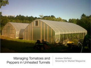 Managing Tomatoes and
Peppers in Unheated Tunnels
Andrew Meﬀerd

Growing for Market Magazine
 