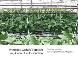 Protected Culture Eggplant
and Cucumber Production
Andrew Meﬀerd

Growing for Market Magazine
 