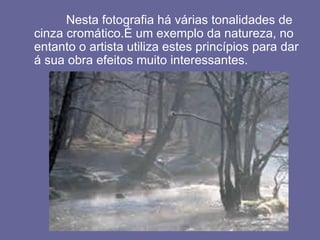 Nesta fotografia há várias tonalidades de
cinza cromático.É um exemplo da natureza, no
entanto o artista utiliza estes princípios para dar
á sua obra efeitos muito interessantes.
 