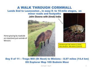 A WALK THROUGH CORNWALL
Lands End to Launceston , in easy 8- to 10-mile stages, on
minor roads and footpaths
John Downs with (tired) Indie
Day 9 of 11 – Trago Mill (St Neot) to Minions – 8.97 miles (14.4 km)
OS Explorer Map 109 Bodmin Moor
Cornwall - Day 9 1
Horse grazing by roadside
on moorland just outside of
Minions
Elevation gain 387 metres (1,270 ft)
Max elevation 309 metres (1,014 ft)
 