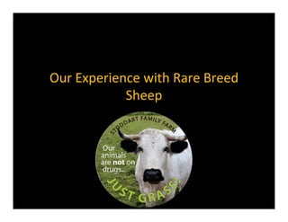 Our	
  Experience	
  with	
  Rare	
  Breed
Sheep
 