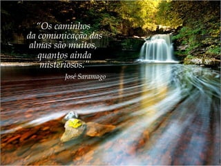 “Os caminhos
da comunicação das
almas são muitos,
quantos ainda
misteriosos.”
José Saramago
 