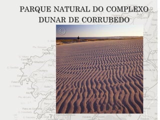 PARQUE NATURAL DO COMPLEXO
    DUNAR DE CORRUBEDO
 