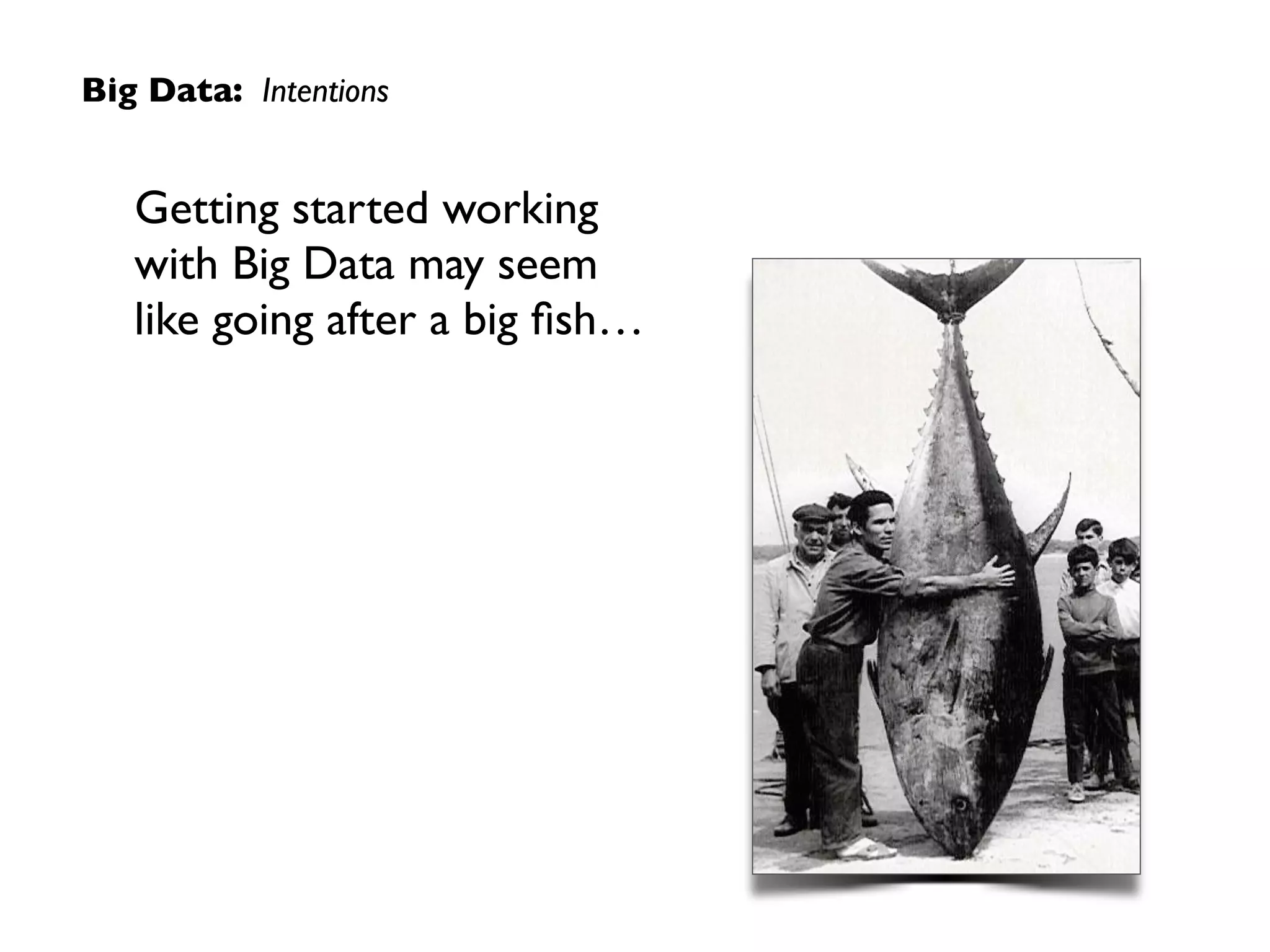 Big Data: Intentions
Getting started working
with Big Data may seem  
like going after a big ﬁsh…
 