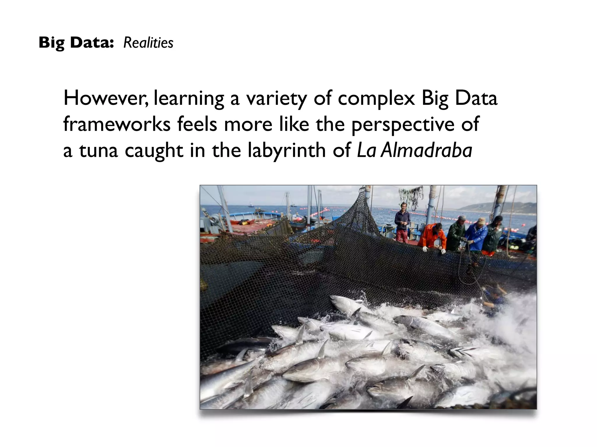 Big Data: Realities
However, learning a variety of complex Big Data
frameworks feels more like the perspective of  
a tuna caught in the labyrinth of La Almadraba
 
