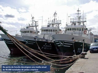 No porto da Coruña descárgase una media anual
de 40.000 toneladas de peixe e marisco
 