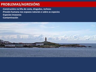 PROBLEMAS/AGRESIÓNS
-Construcións na liña de costa, dragados, recheos
-Presión humana nos espazos naturais e sobre as especies
-Especies invasoras
-Contaminación
 