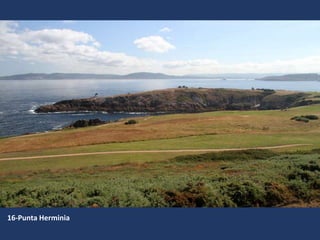 16-Punta Herminia
 