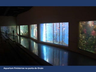 Aquarium Finisterrae na punta de Orzán
 