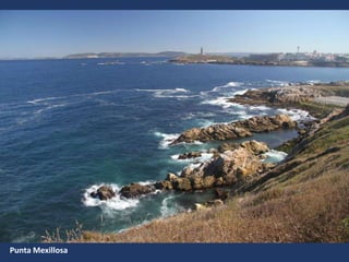 Punta Mexillosa
 