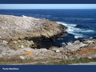 Punta Mexillosa
 