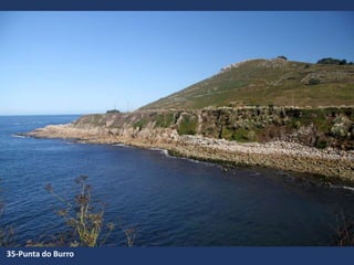 35-Punta do Burro
 
