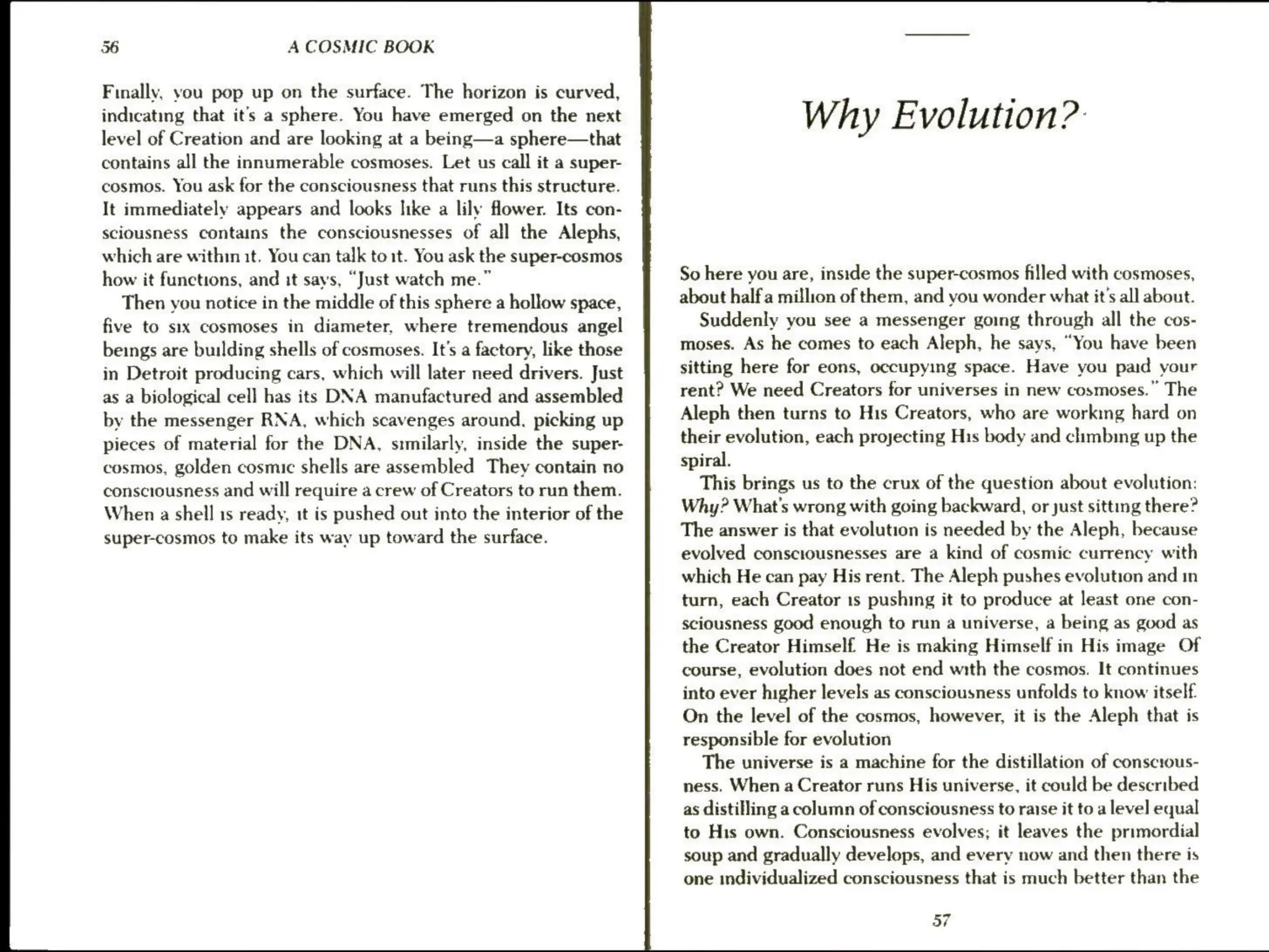 56 A COSMIC BOOK
Finally, you pop up on the surface. The horizon is curved,
indicating that it’s a sphere. You have emerged on the next
level of Creation and are looking at a being—a sphere—that
contains all the innumerable cosmoses. Let us call it a super-
cosmos. You ask for the consciousness that runs this structure.
It immediately appears and looks like a lily flower. Its con-
sciousness contains the consciousnesses of all the Alephs,
which are within it. You can talk to it. You ask the super-cosmos
how it functions, and it says, “Just watch me.”
Then you notice in the middle of this sphere a hollow space,
five to six cosmoses in diameter, where tremendous angel
beings are building shells of cosmoses. It's a factory, like those
in Detroit producing cars, which will later need drivers. Just
as a biological cell has its DNA manufactured and assembled
by the messenger RNA, which scavenges around. picking up
pieces of material for the DNA, srmilarly, inside the super-
cosmos, golden cosmic shells are assembled They contain no
consciousness and will require a crew of Creators to run them.
When a shell 1s ready, it is pushed out into the interior of the
super-cosmos to make its way up toward the surface.
Why Evolution?
So here you are, inside the super-cosmos filled with cosmoses,
about half a million of them, and you wonder what it’s all about.
Suddenly you see a messenger going through all the cos-
moses. As he comes to each Aleph, he says, “You have been
sitting here for eons, occupying space. Have you paid your
rent? We need Creators for universes in new cosmoses.” The
Aleph then turns to His Creators, who are working hard on
their evolution, each projecting His body and chmbing up the
spiral.
This brings us to the crux of the question about evolution:
Why? What's wrong with going backward, or just sitting there?
The answer is that evolution is needed by the Aleph, because
evolved consciousnesses are a kind of cosmic currency with
which He can pay His rent. The Aleph pushes evolution and in
turn, each Creator 1s pushing it to produce at least one con-
sciousness good enough to run a universe, a being as good as
the Creator Himself He is making Himself in His image Of
course, evolution does not end with the cosmos. It continues
into ever higher levels as consciousness unfolds to know itself.
On the level of the cosmos, however, it is the Aleph that is
responsible for evolution
The universe is a machine for the distillation of conscious-
ness. When a Creator runs His universe, it could be described
as distilling a column of consciousness to raise it to a level equal
to His own. Consciousness evolves; it leaves the primordial
soup and gradually develops, and every now and then there is
one individualized consciousness that is much better than the
57
 