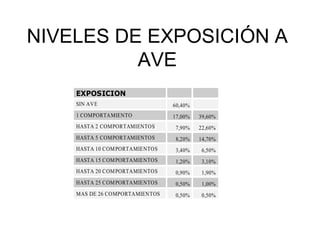 NIVELES DE EXPOSICIÓN A
AVE
EXPOSICION
SIN AVE 60,40%
1 COMPORTAMIENTO 17,00% 39,60%
HASTA 2 COMPORTAMIENTOS 7,90% 22,60%
HASTA 5 COMPORTAMIENTOS 8,20% 14,70%
HASTA 10 COMPORTAMIENTOS 3,40% 6,50%
HASTA 15 COMPORTAMIENTOS 1,20% 3,10%
HASTA 20 COMPORTAMIENTOS 0,90% 1,90%
HASTA 25 COMPORTAMIENTOS 0,50% 1,00%
MAS DE 26 COMPORTAMIENTOS 0,50% 0,50%
 