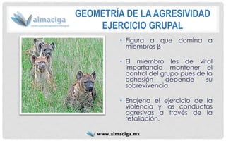 GEOMETRÍA DE LA AGRESIVIDADEJERCICIO GRUPAL 
•Figuraαquedominaamiembrosβ 
•Elmiembrolesdevitalimportanciamantenerelcontroldelgrupopuesdelacohesióndependesusobrevivencia. 
•Enajenaelejerciciodelaviolenciaylasconductasagresivasatravésdelaretaliación.  