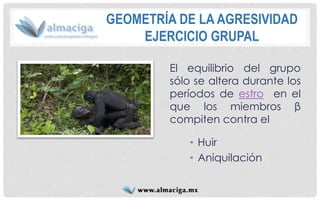 GEOMETRÍA DE LA AGRESIVIDADEJERCICIO GRUPAL 
Elequilibriodelgruposólosealteradurantelosperíodosdeestroenelquelosmiembrosβcompitencontrael 
•Huir 
•Aniquilación  