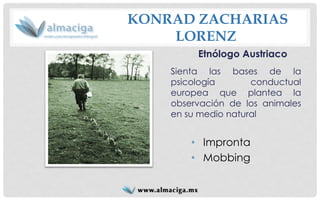 KONRAD ZACHARIASLORENZ 
Etnólogo Austriaco 
Sientalasbasesdelapsicologíaconductualeuropeaqueplantealaobservacióndelosanimalesensumedionatural 
•Impronta 
•Mobbing  