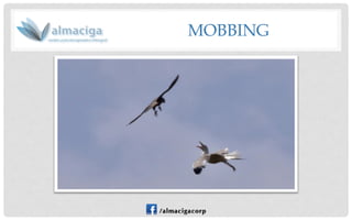 MOBBING  
