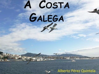 ACOSTA  GALEGA Alberto Pérez Quintela 